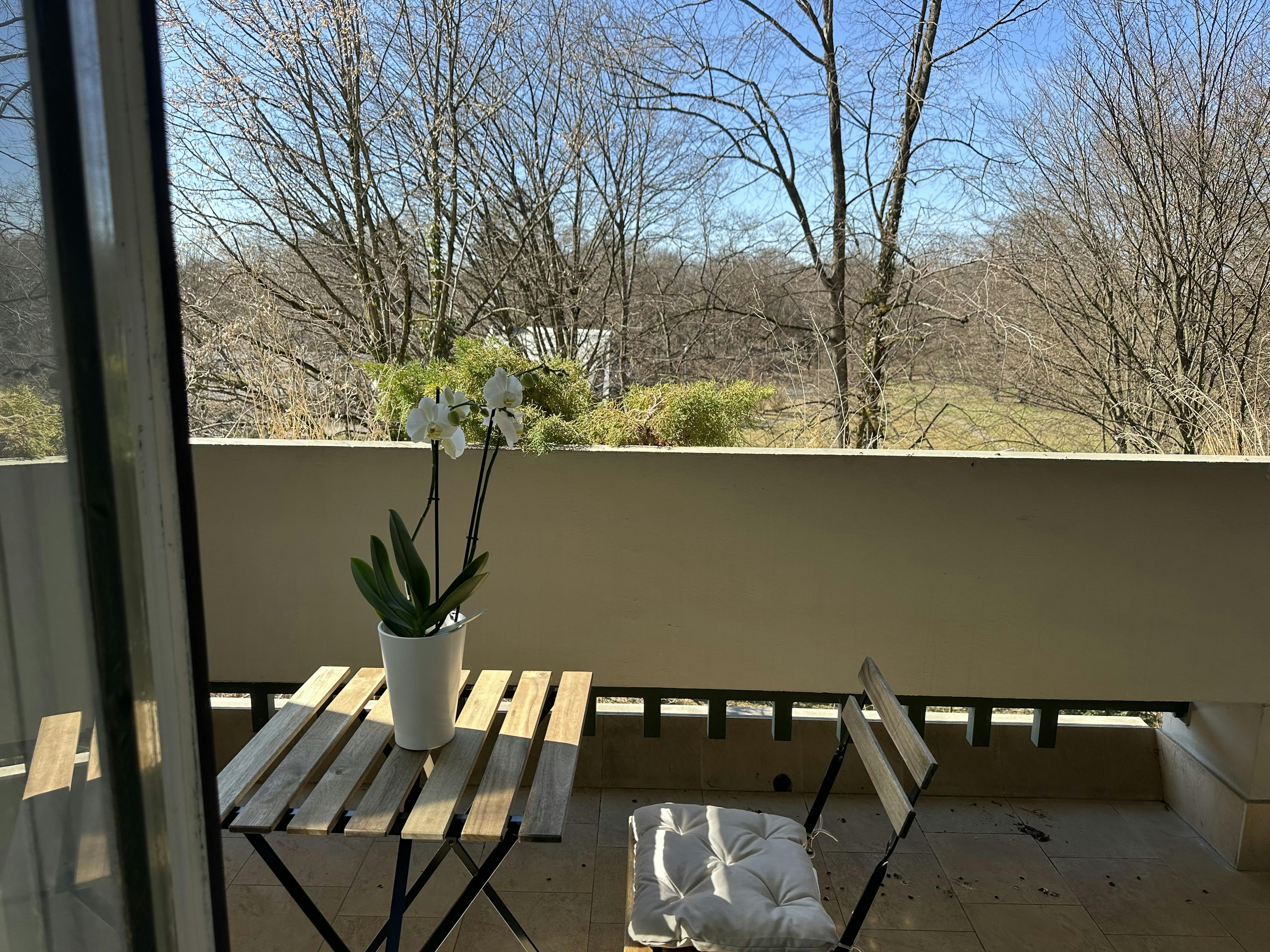 Springerstraße, Munich preview