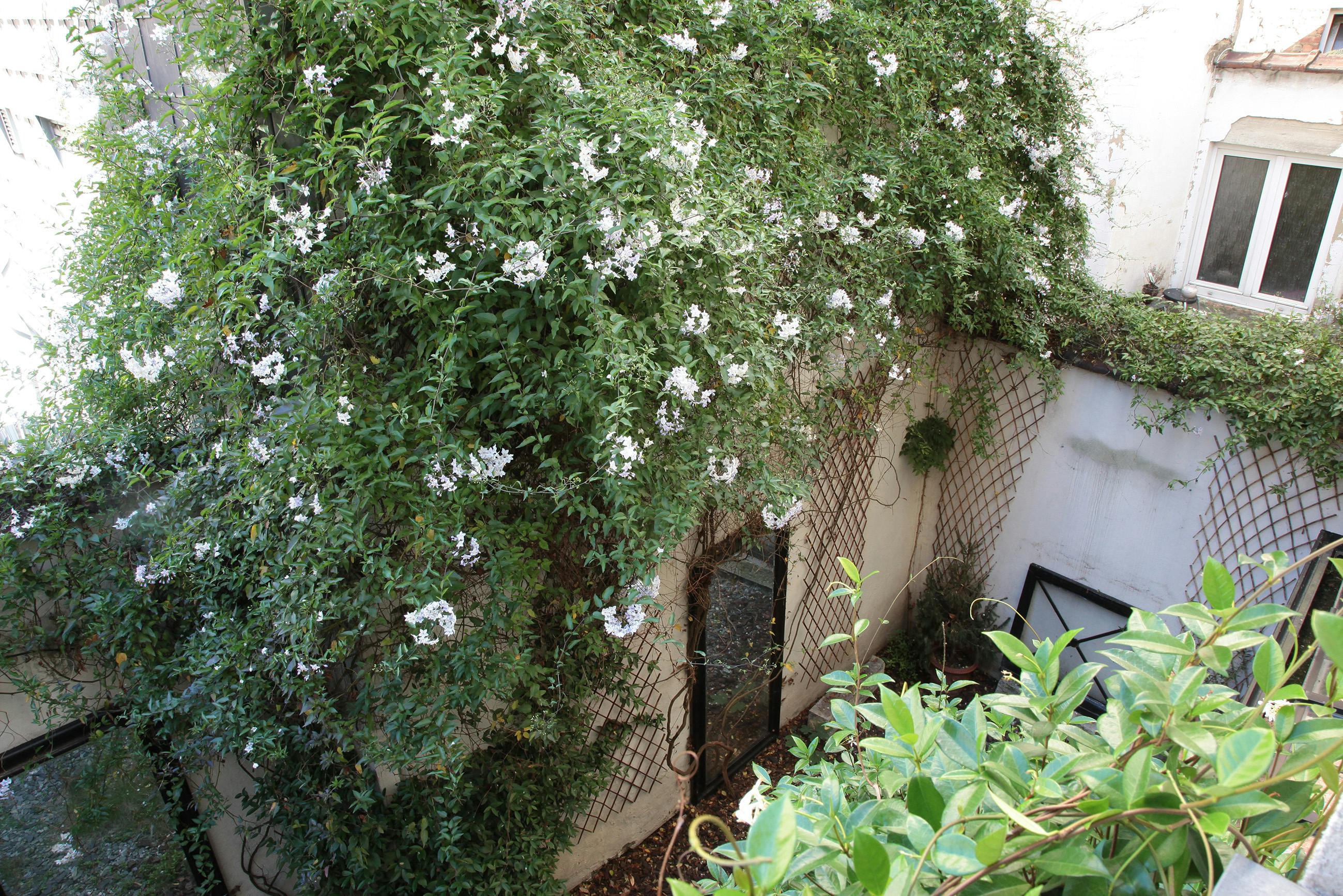 Rue de l'Etuve, Brussels Brussels