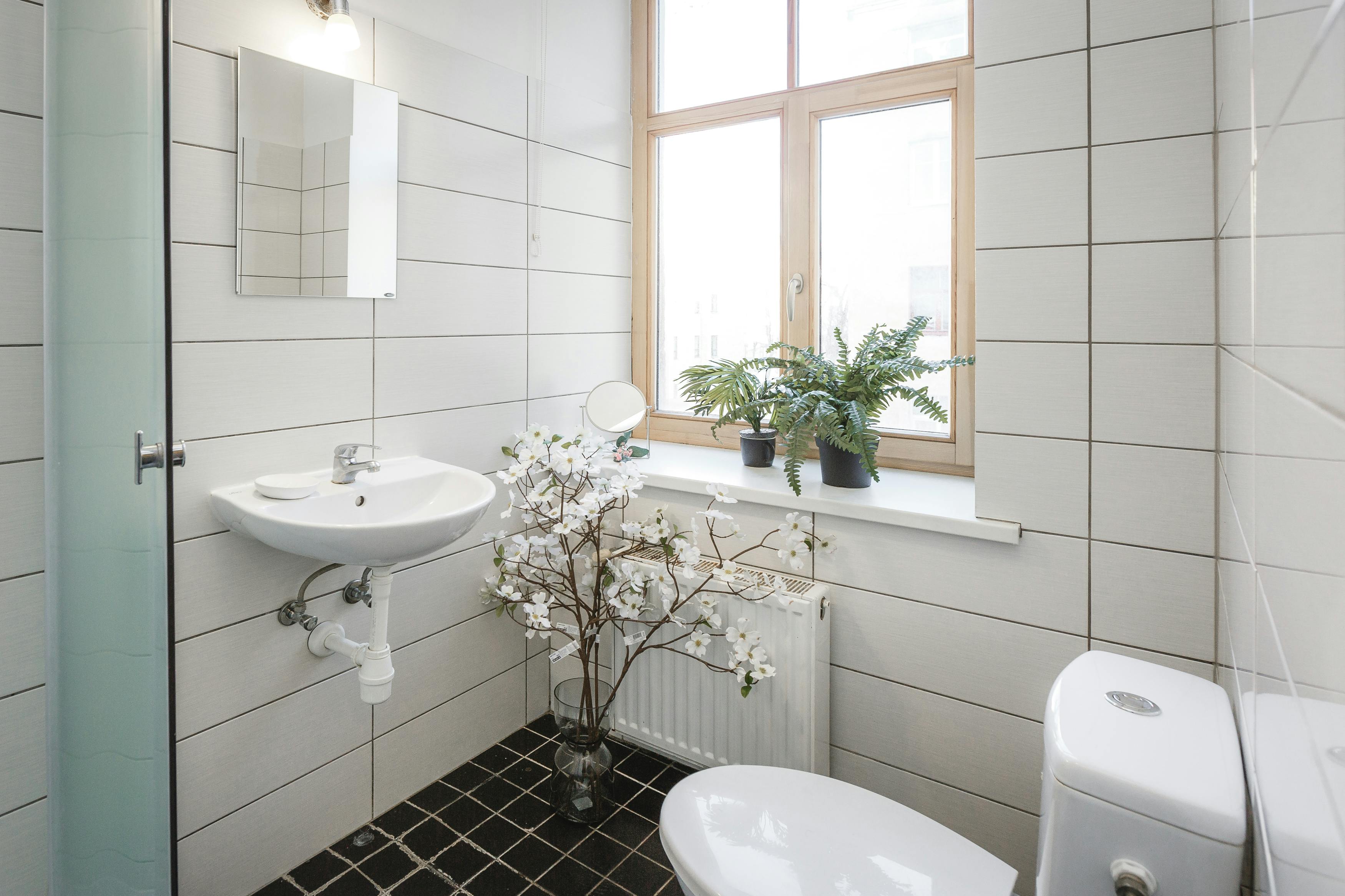 Single room Riga, 1 bed, 12m² — photo 4