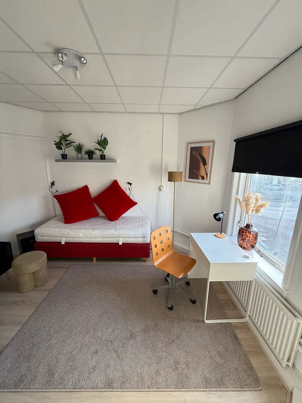 Private room in Korreweg, Groningen (1612505) ROOM 3