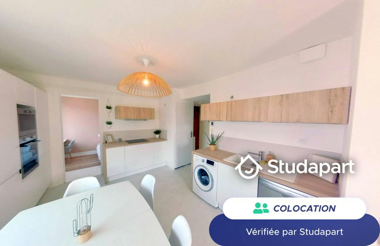 Private room for rent on Rue des Roses, Lyon - Vue 3