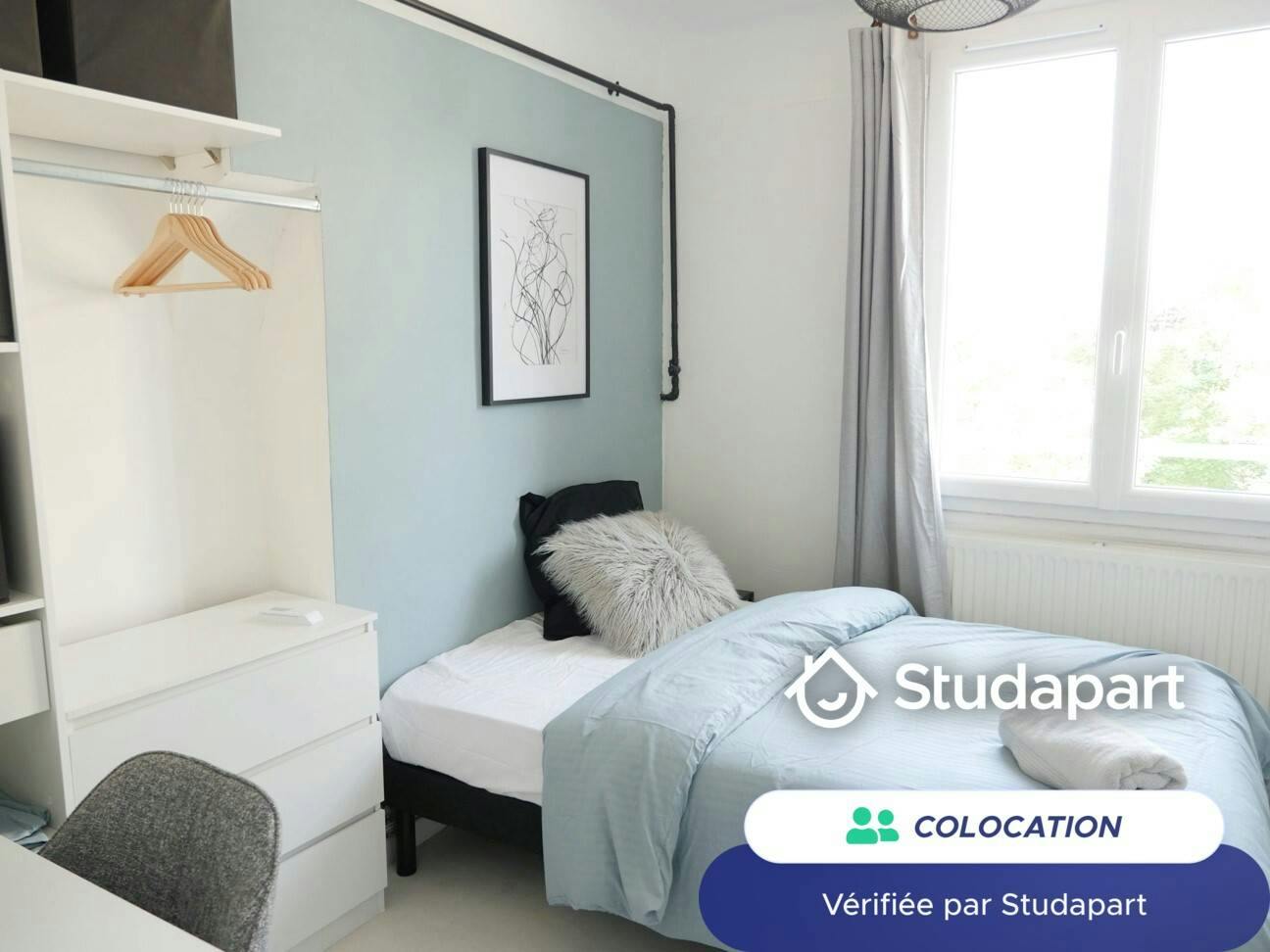 Private room for rent on Rue des Roses, Lyon - Vue 4