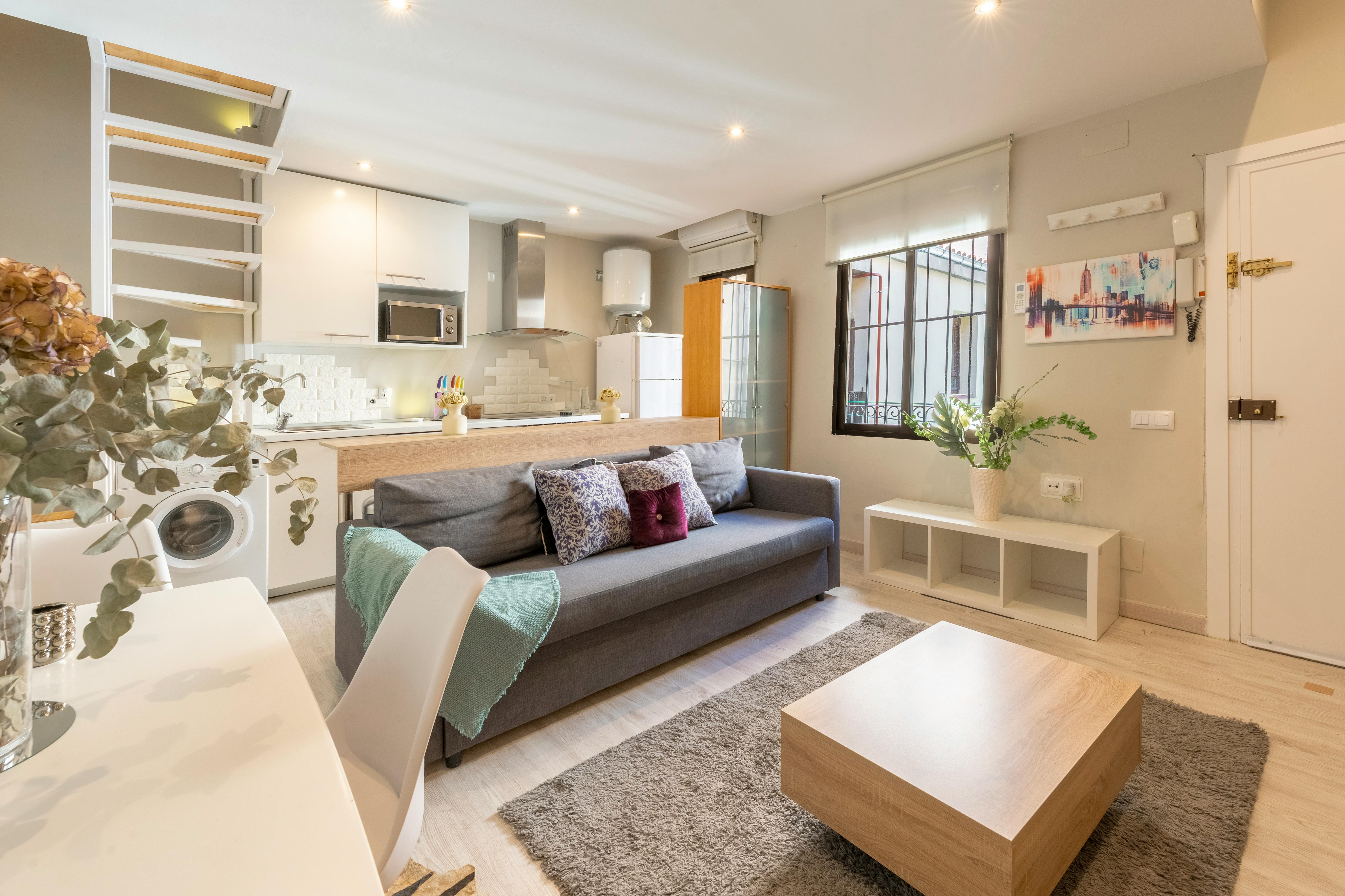 Apartment Madrid, 1 bed — photo 3
