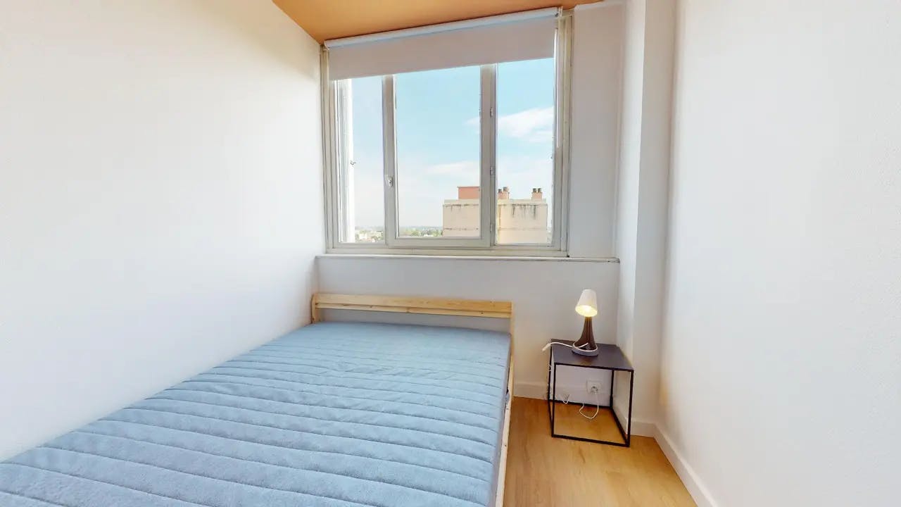 Rue Edouard Branly, Bron preview