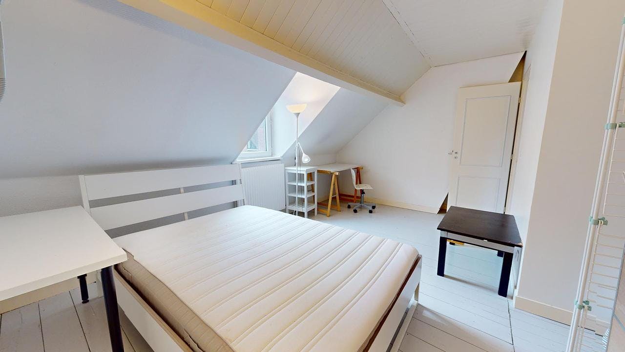 Single room Lille, 1 bed, 12m² — photo 7
