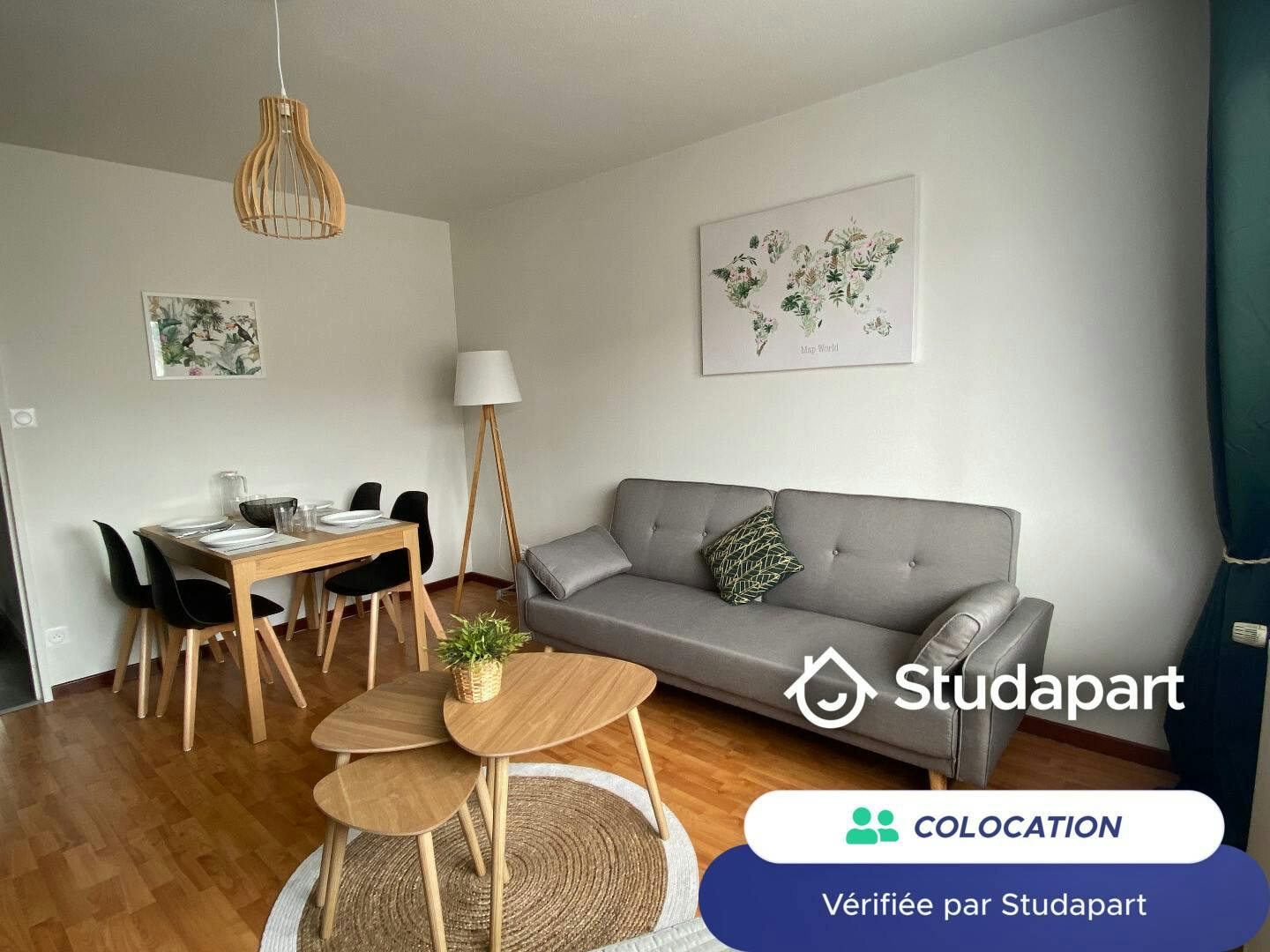 Private room for rent for €540 per month in Schiltigheim, Rue du Charme