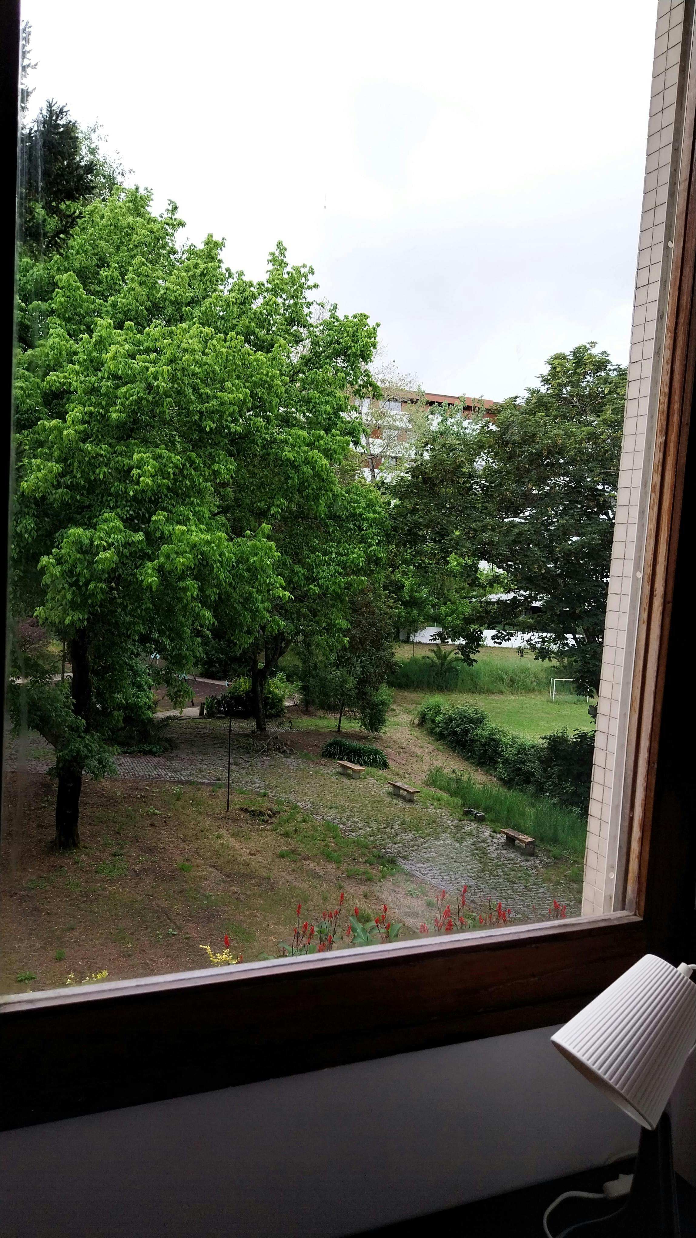 Single room Porto, 1 bed, 16m² — photo 1