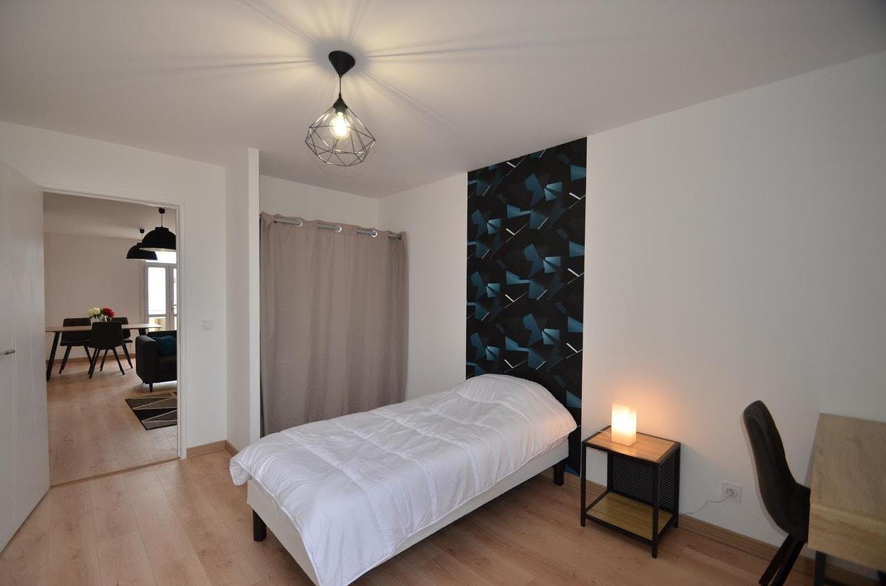 Private room for rent on Avenue Paul Santy, Lyon - Vue 3
