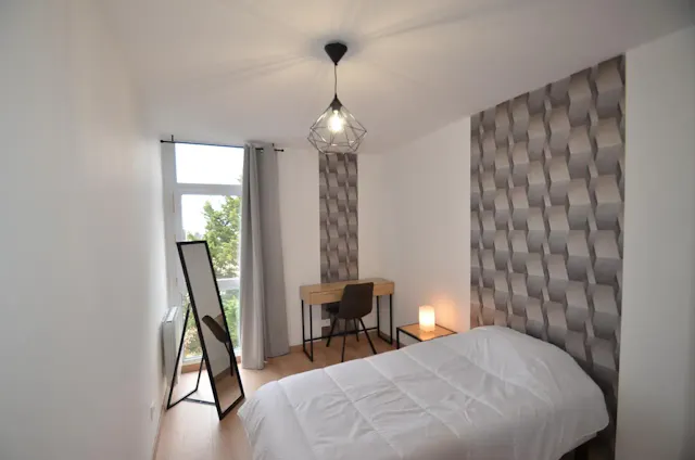 Private room in Avenue Paul Santy, Lyon (1615360) room image 1