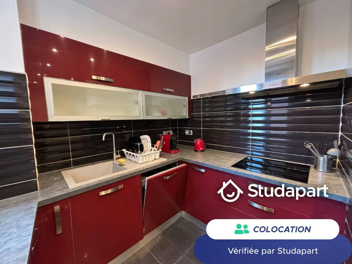 Private room for rent on Rue du Fil, Mulhouse - Vue 5