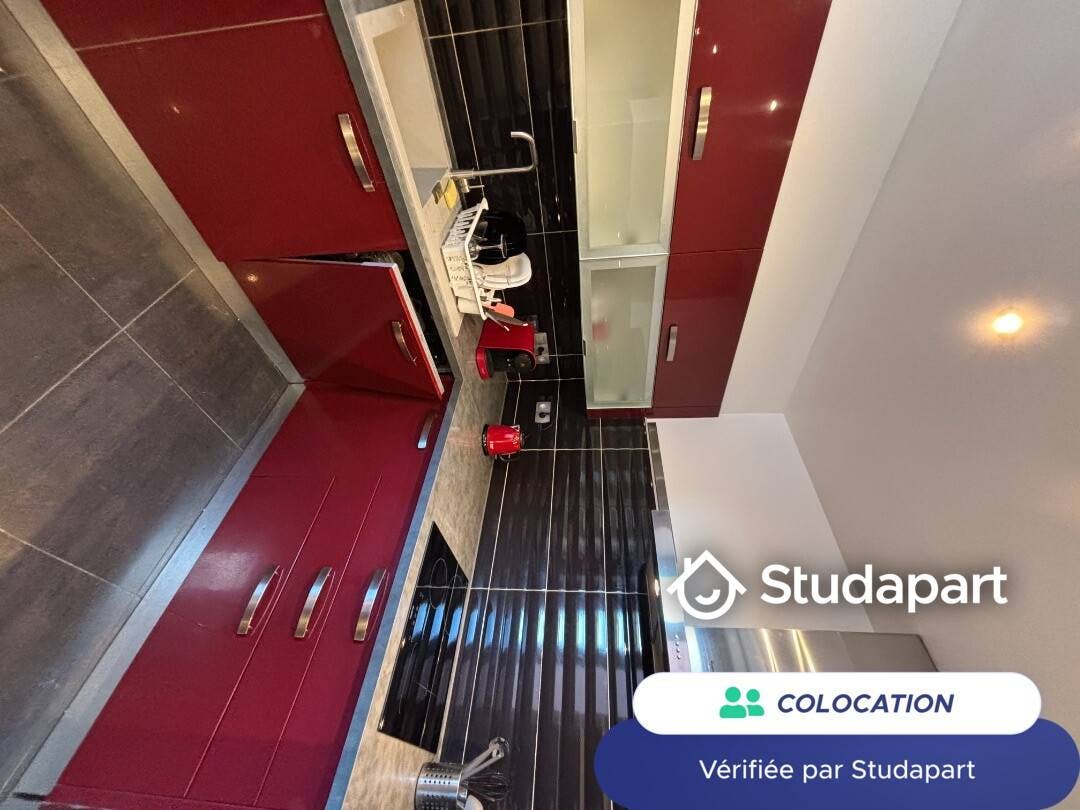 Private room for rent on Rue du Fil, Mulhouse - Vue 6
