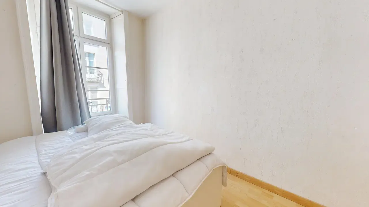 Private room in Rue de l'Hôtel de Ville, Nantes 3