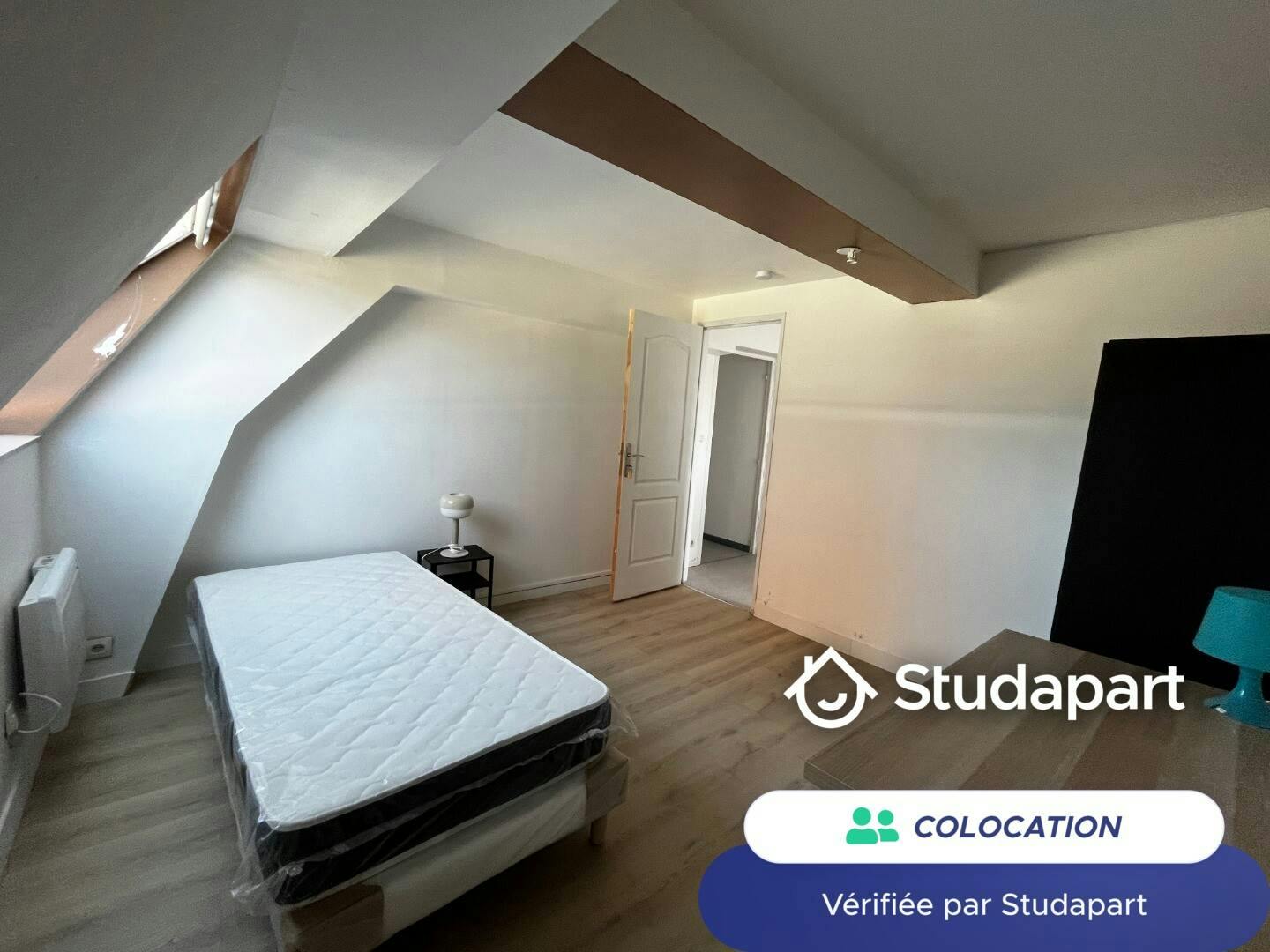 Private room for rent on Rue Léon Gambetta, Lille - Vue 4
