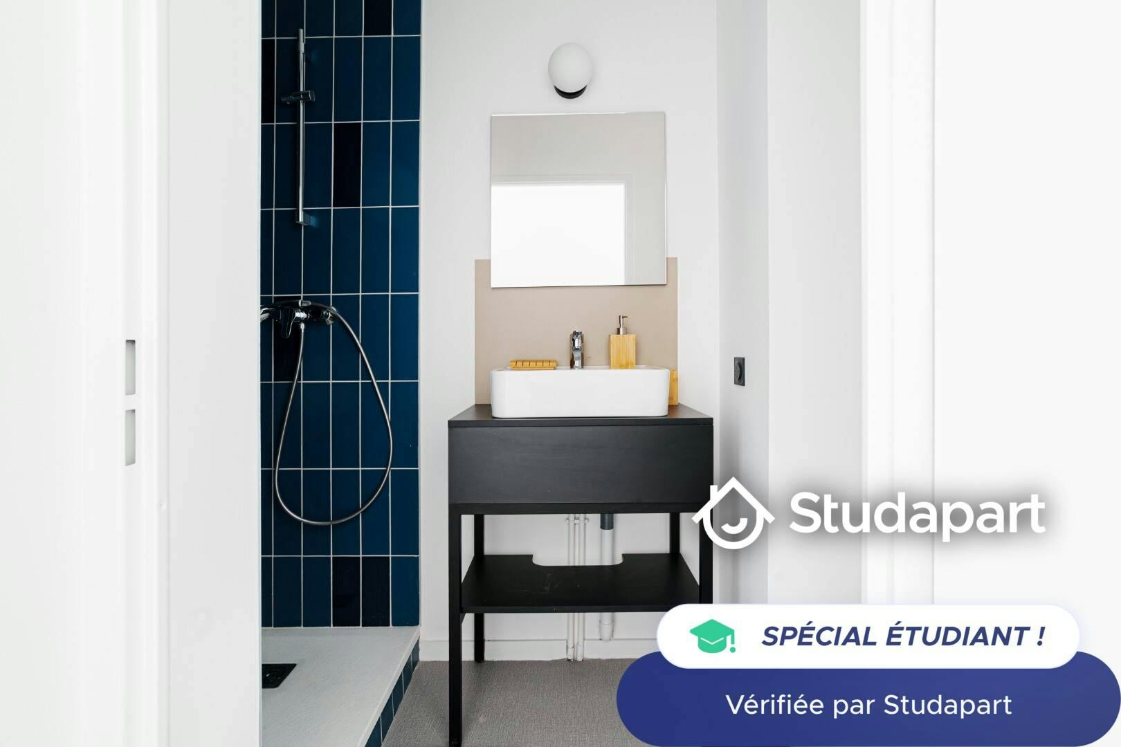 Private room for rent on Rue de la Caravelle, Toulouse - Plus