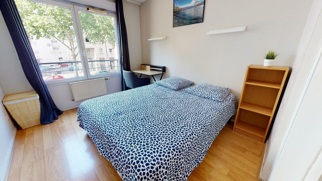 Private room for rent on Rue Paul Cazeneuve, Lyon