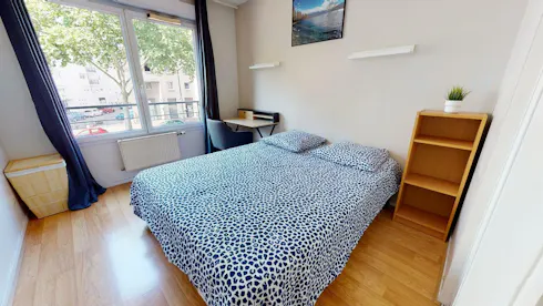 Private room for rent on Rue Paul Cazeneuve, Lyon