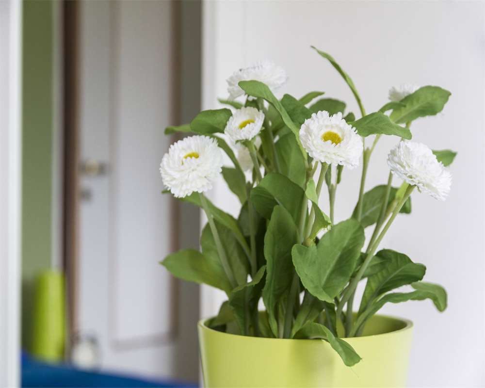 Via Salvatore Barzilai, Milan