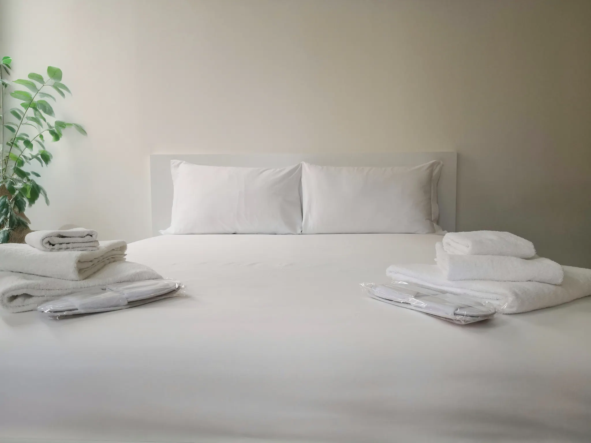 Via Giuditta Sidoli, Milan preview