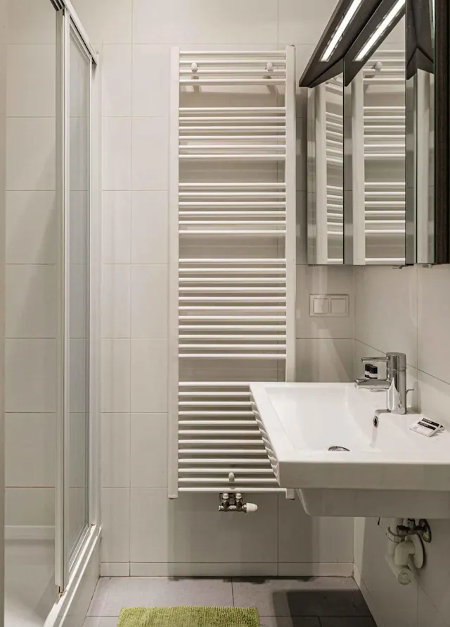 1-Bedroom Apartment in Lazarettgasse, Vienna (1618776) room image 30