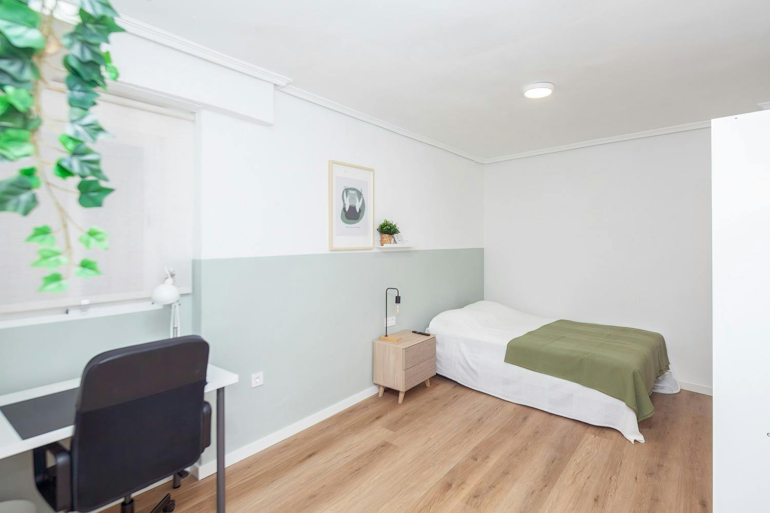 Carrer de les Illes Canàries, Valencia preview