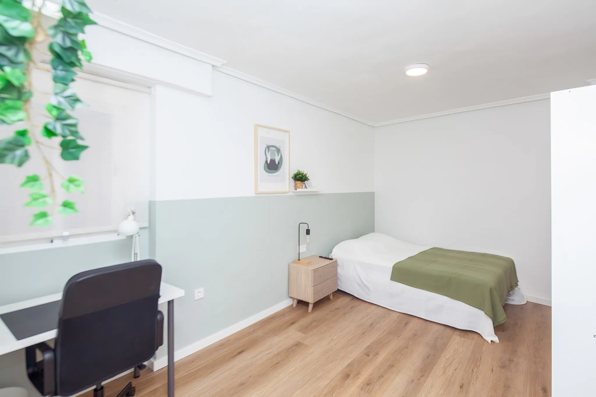 Carrer de les Illes Canàries, Valencia preview