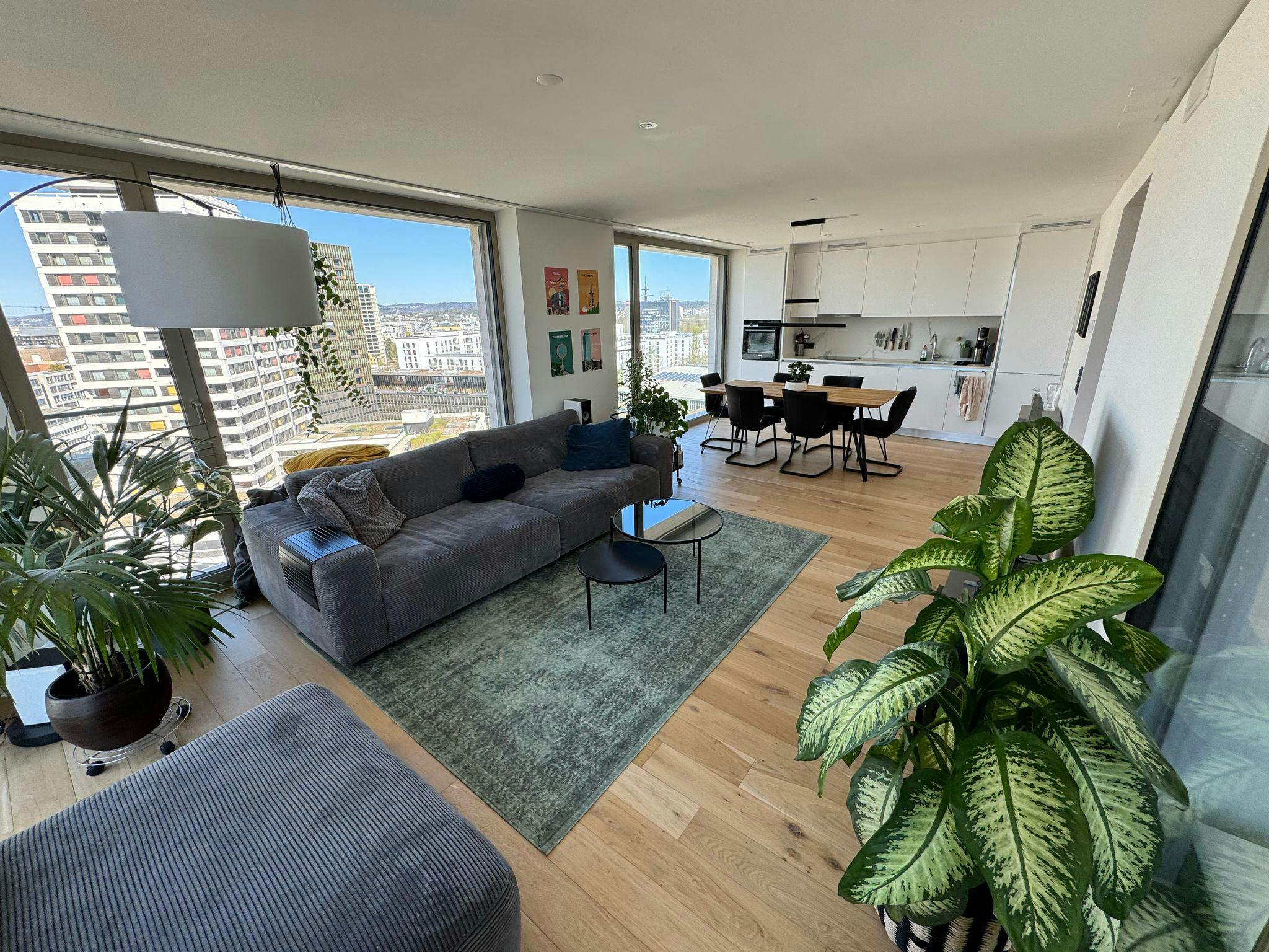 Rental Homes In Zurich Switzerland Apartments For Rent In District 6,