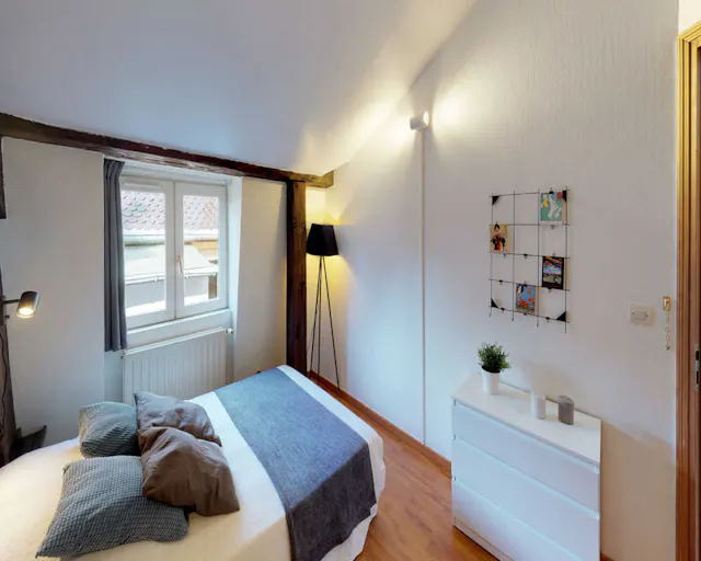 Private room in Rue Lanterne, Lyon (1619001) room image 1