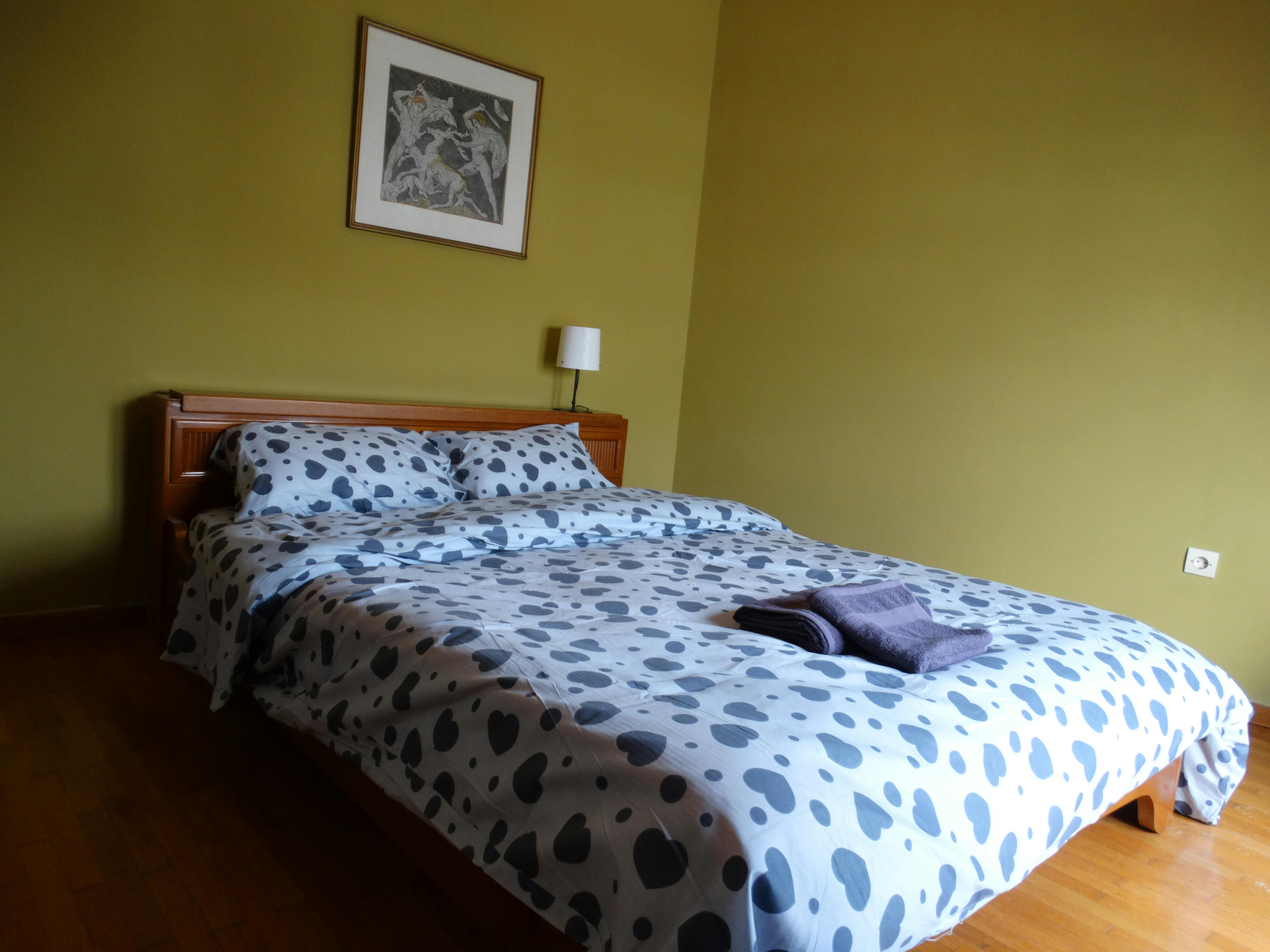 Private room for rent for €430 per month in Athina, Agias Zonis