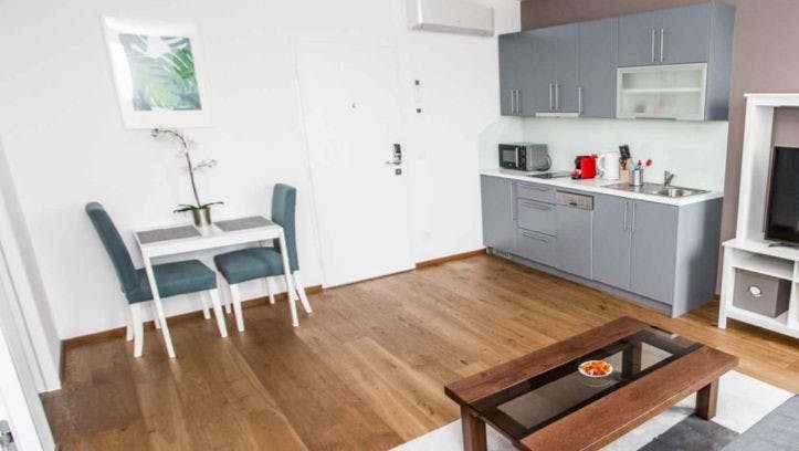 Apartment Vienna, 1 bed — photo 6