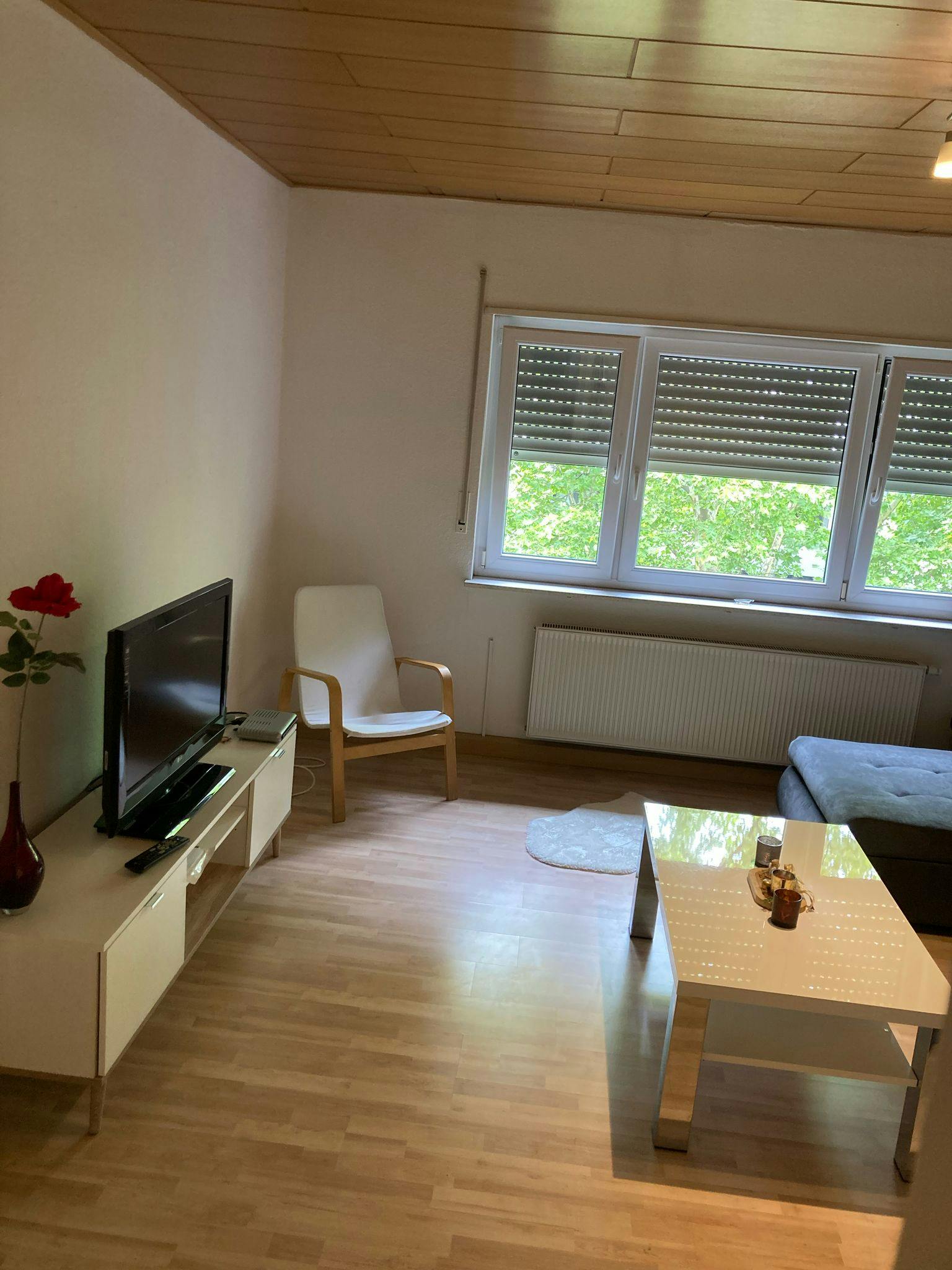 Apartment Mannheim, 2 beds — photo 31