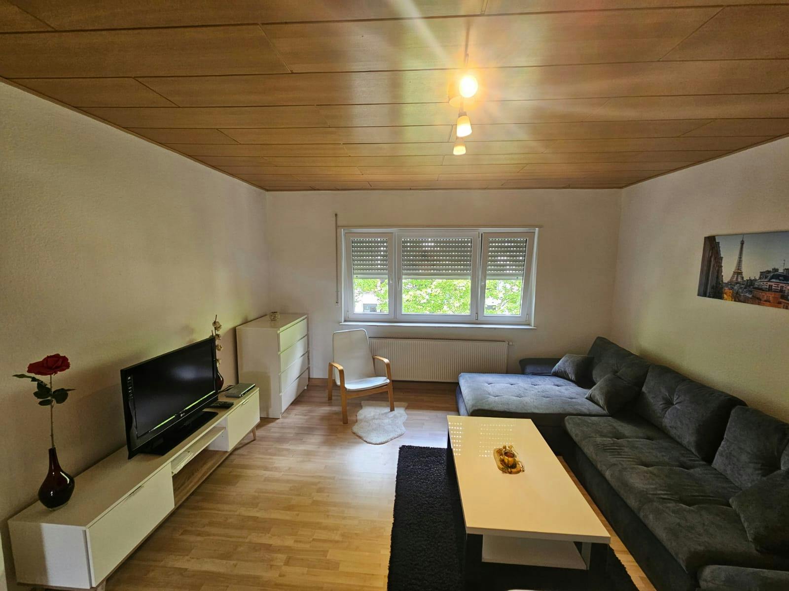 Apartment Mannheim, 2 beds — photo 39