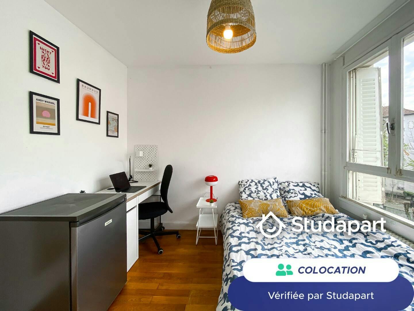 Private room for rent on Rue Challemel-Lacour, Lyon - Vue 3