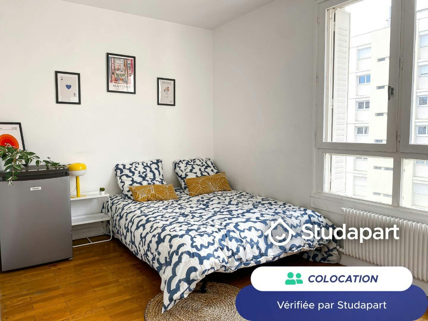 Private room for rent on Rue Challemel-Lacour, Lyon - Vue 5