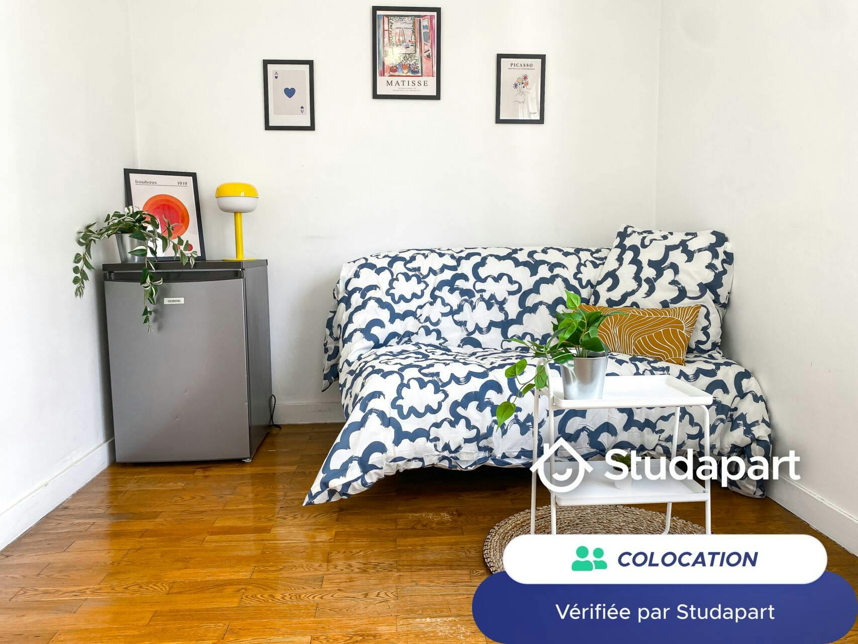 Private room for rent on Rue Challemel-Lacour, Lyon - Vue 4