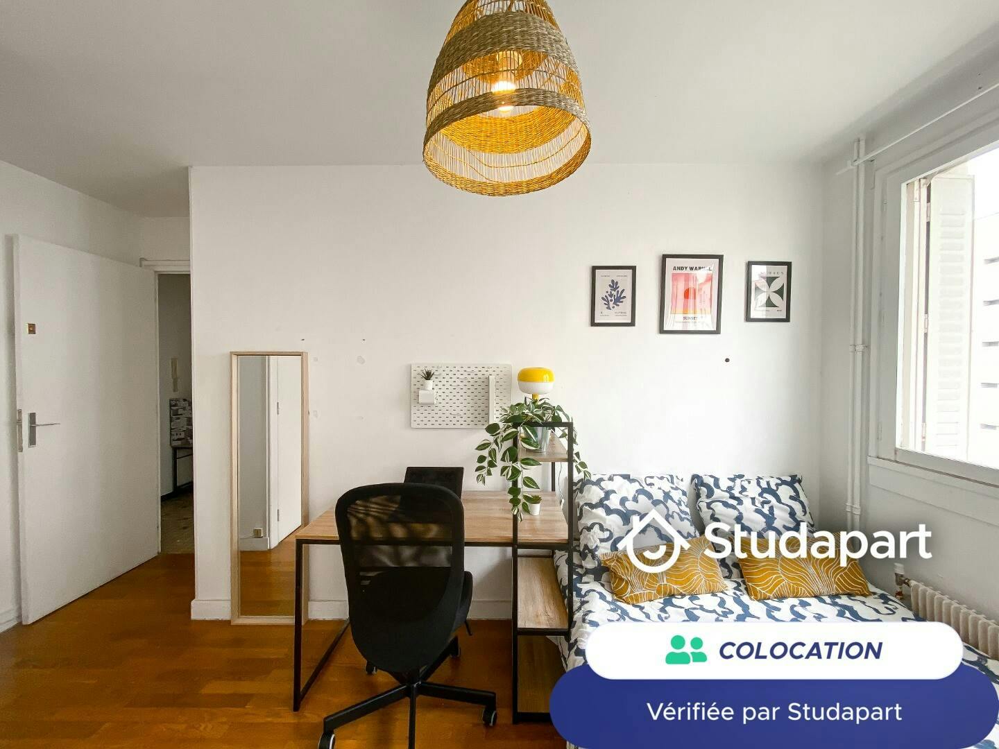 Private room for rent on Rue Challemel-Lacour, Lyon - Plus