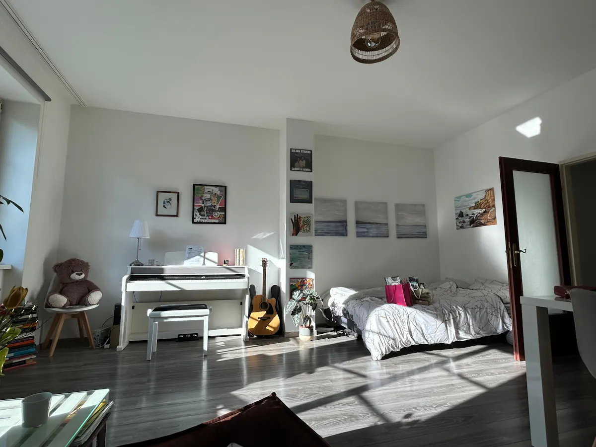 1-Bedroom Apartment in Nobilegasse, Vienna (1619724) ROOM