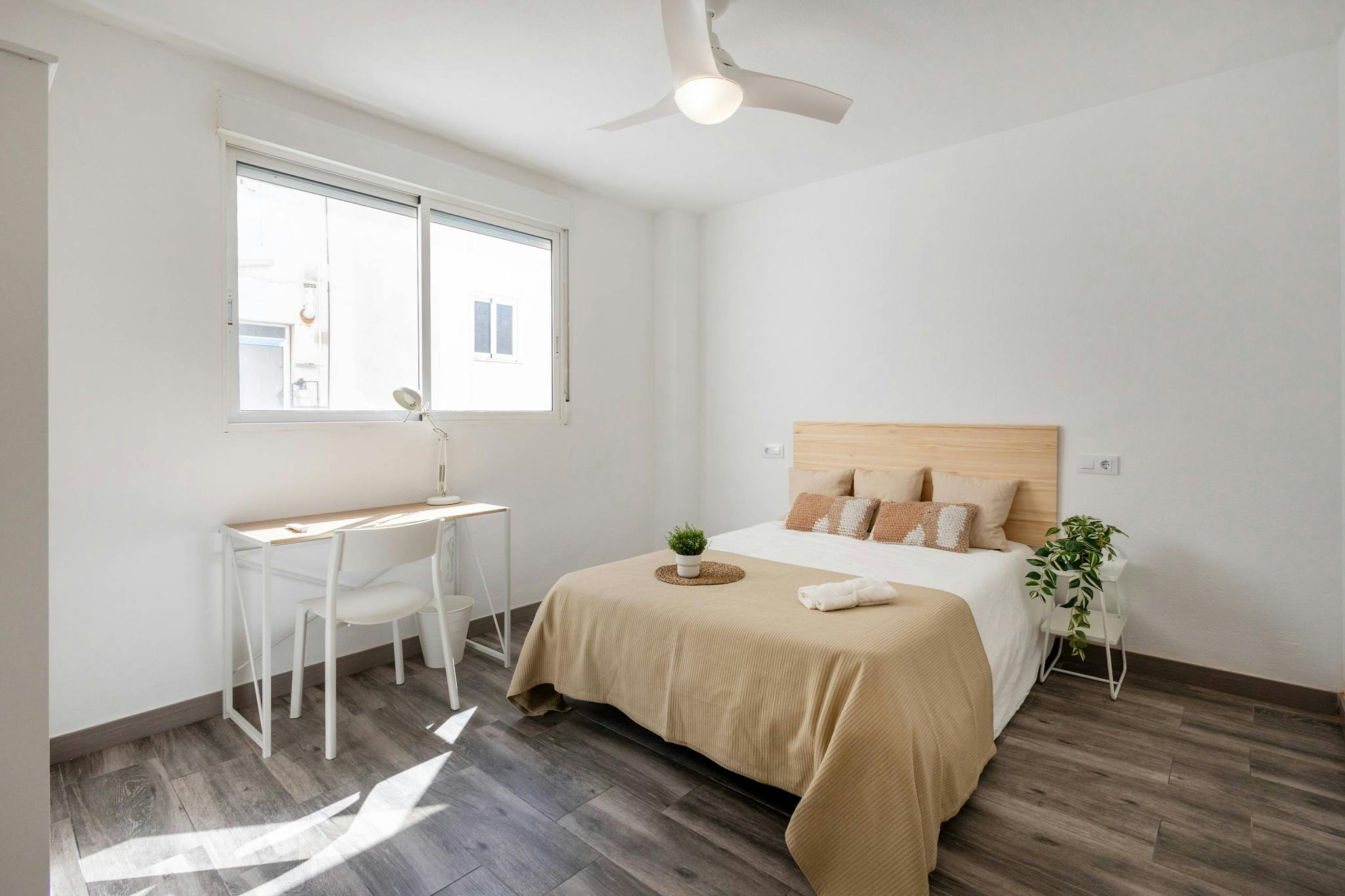 Carrer de Pizarro, Mislata preview