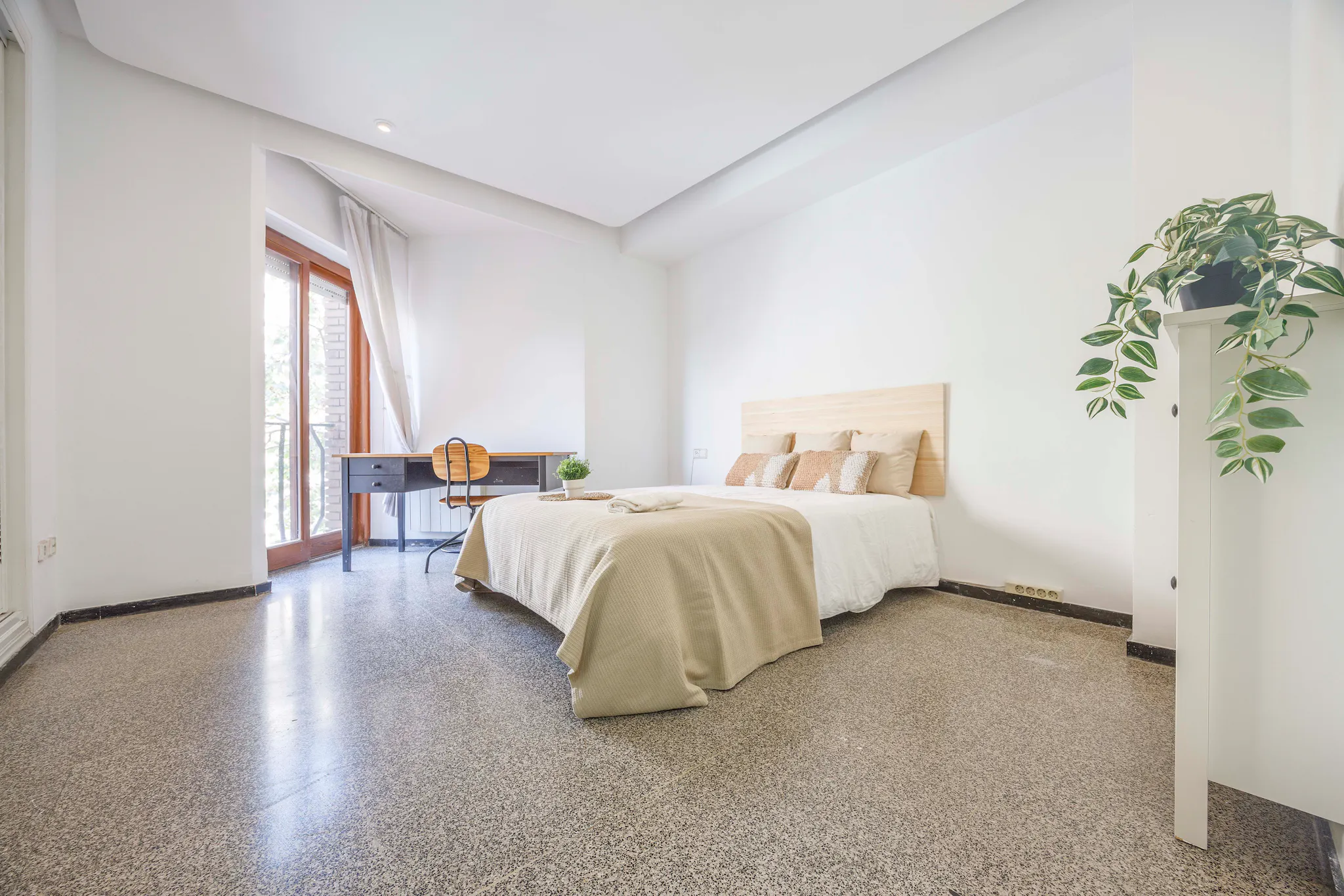 Passeig de l'Albereda, Valencia preview