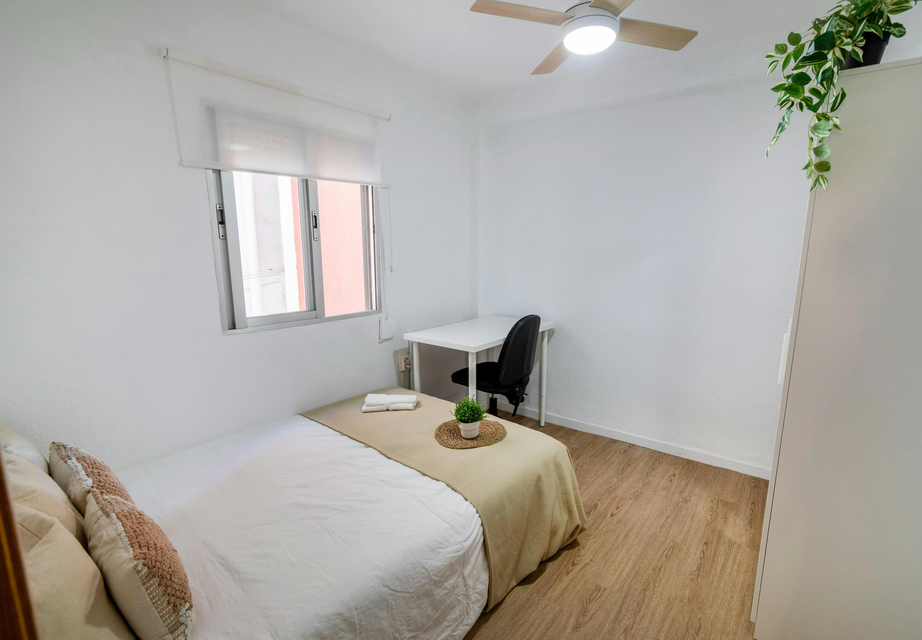 Carrer de Ramon de Rocafull, Valencia Valencia