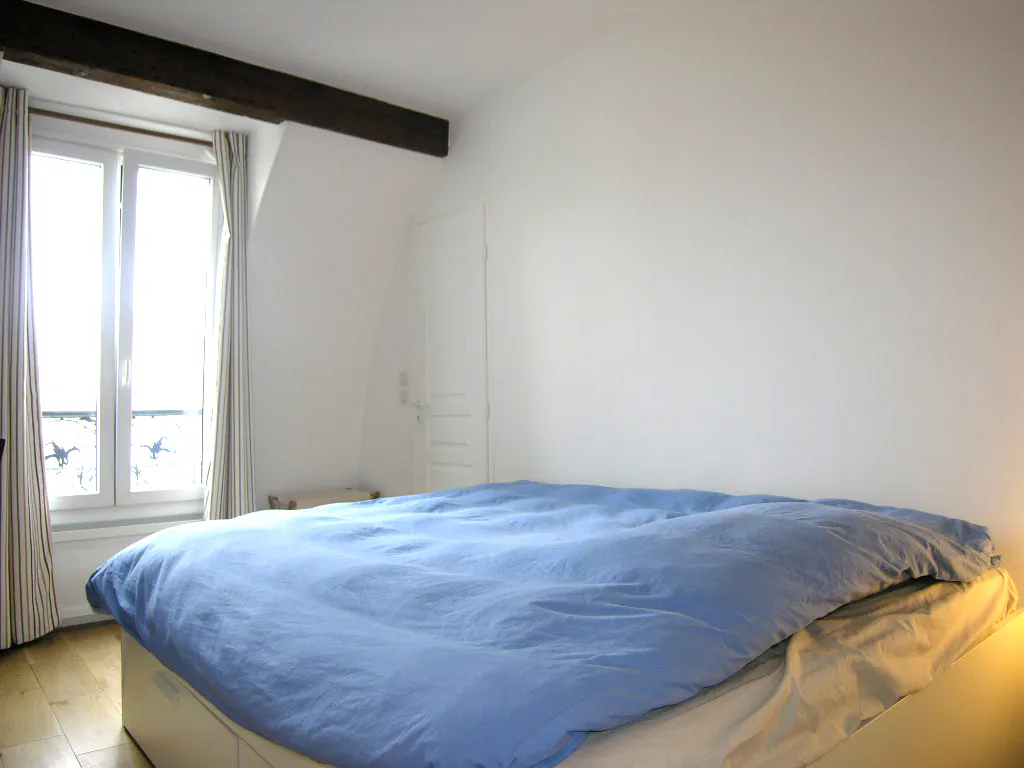 1-Bedroom Apartment in Rue Maublanc, Paris (1621011) ROOM 3