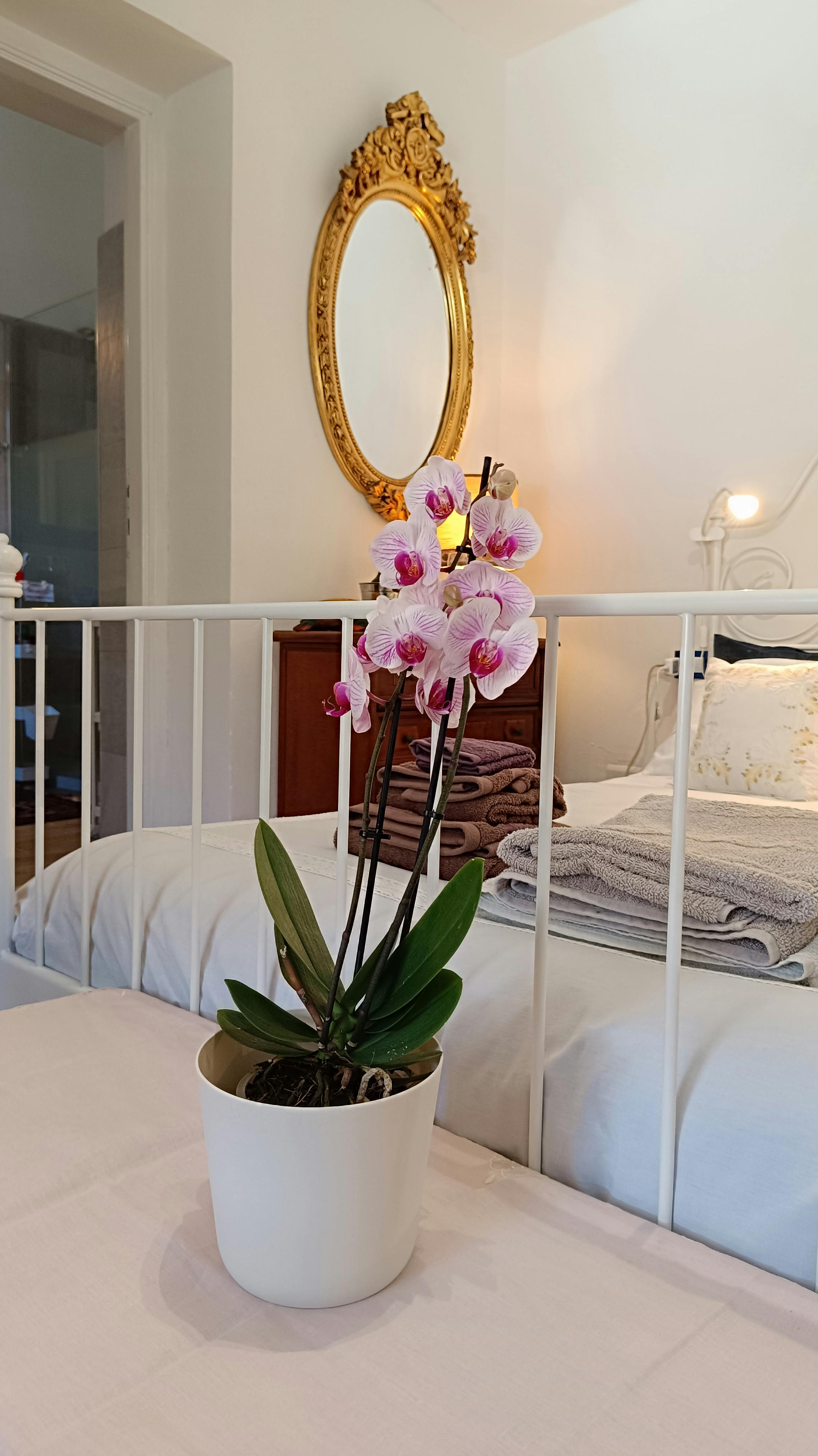 Gebouw te huur voor € 4.000 per maand in Lerici, Località Guercio Colomba