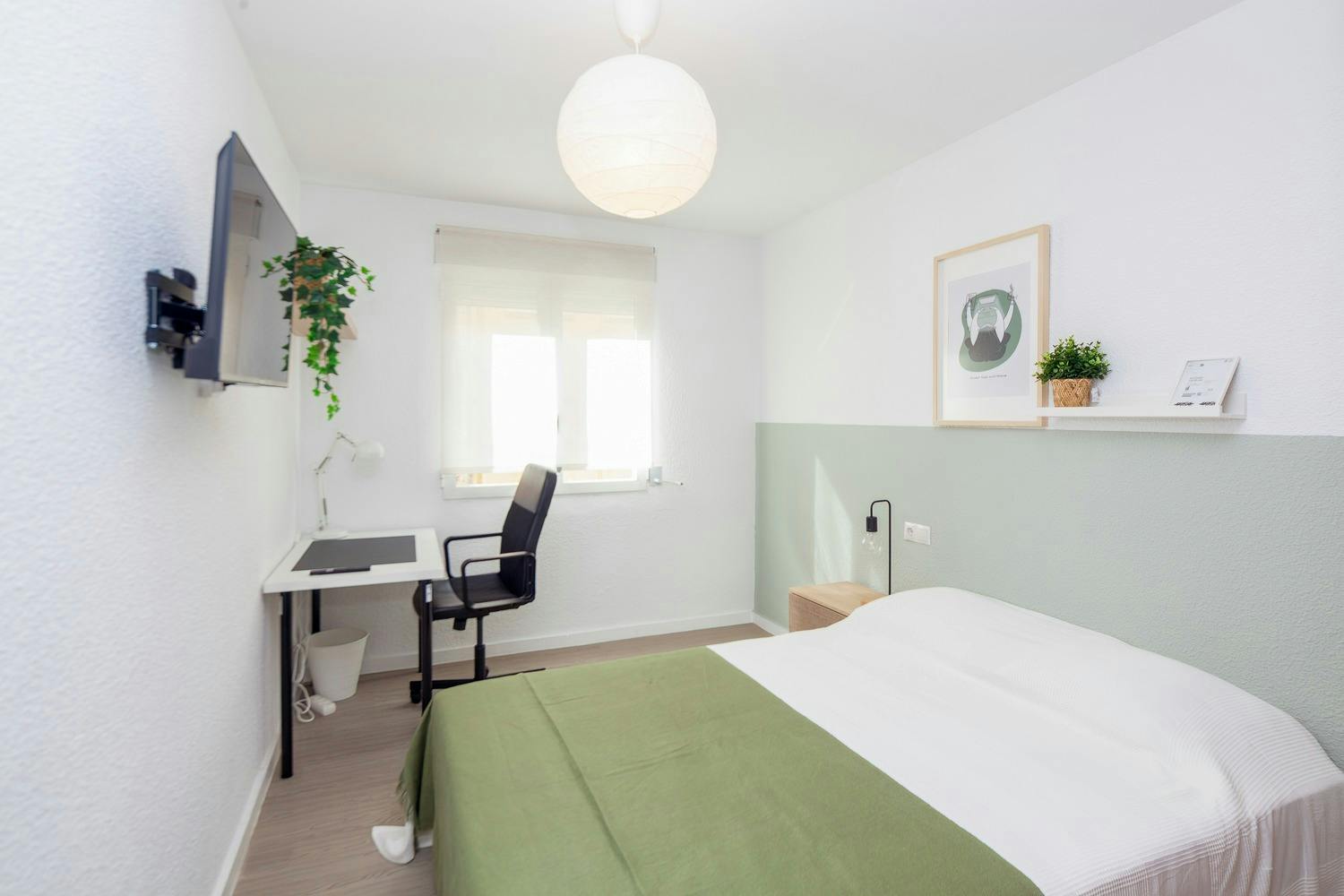 Carrer del Doctor Manuel Candela, Valencia preview