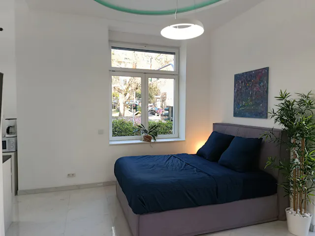 1-Bedroom Apartment in Emser Straße, Wiesbaden (1621292) room image 2
