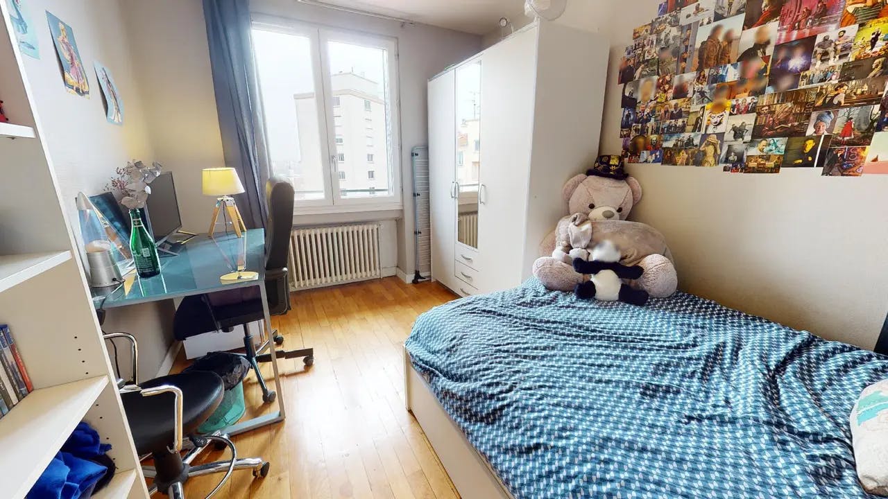 Rue Garibaldi, Lyon preview