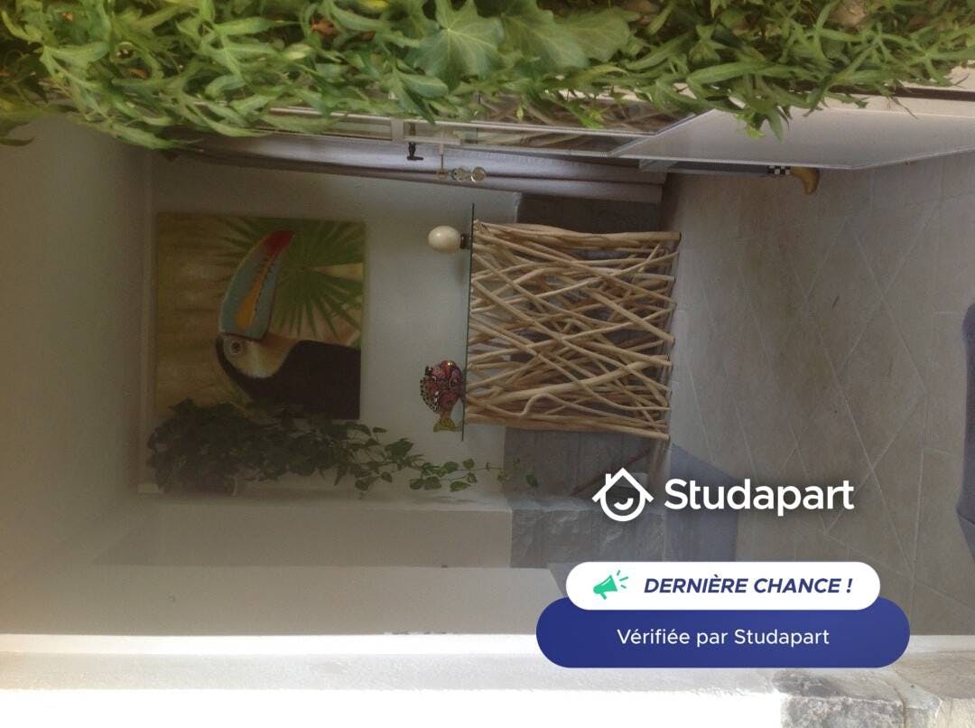 House for rent on Boulevard Henry Dunant, Avignon
