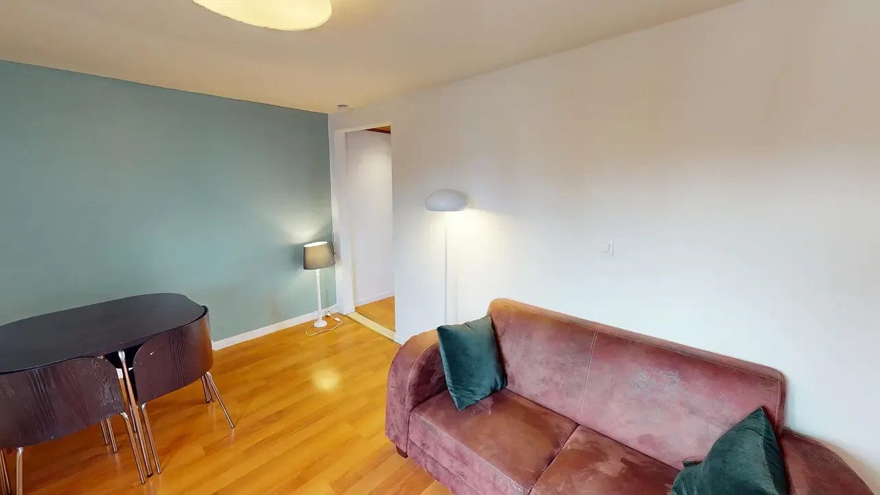 1-Bedroom Apartment in Rue Roger Salengro, Lille (1622222) ROOM 2