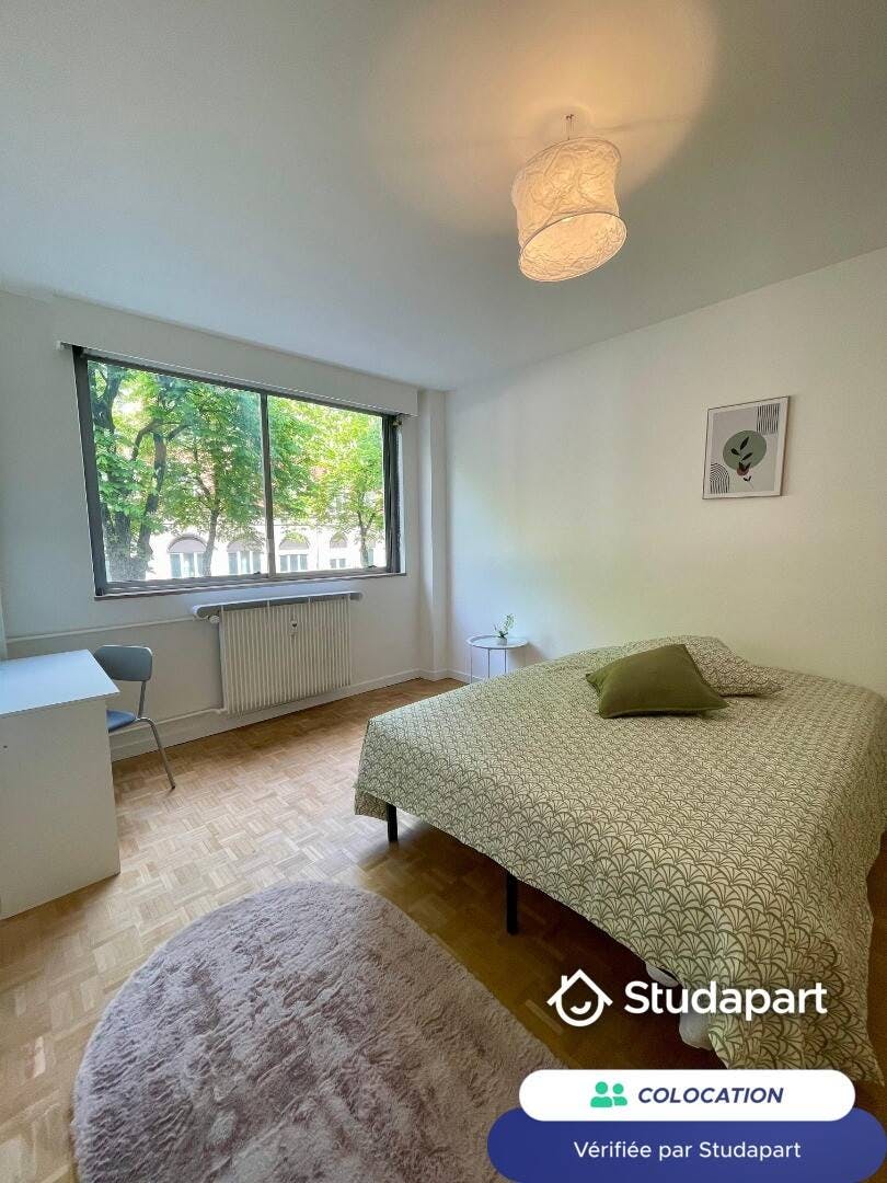 Private room for rent for €530 per month in Strasbourg, Boulevard Clemenceau