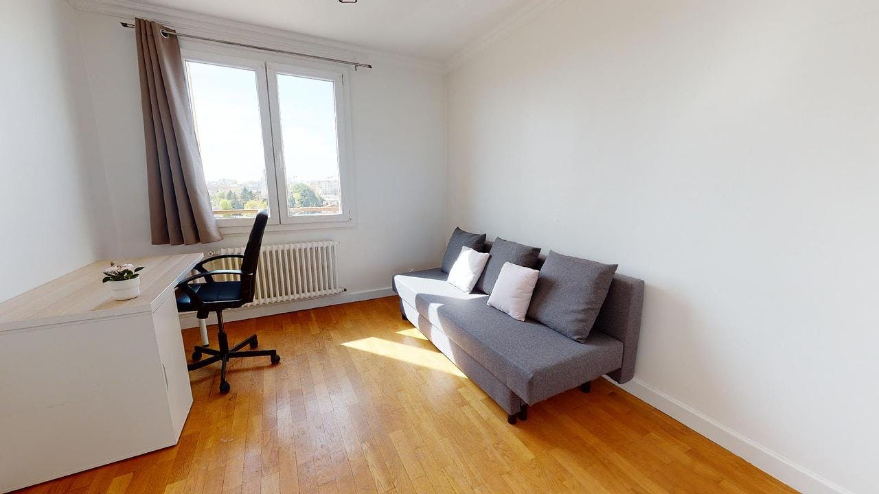 Avenue Roger Salengro, Villeurbanne preview