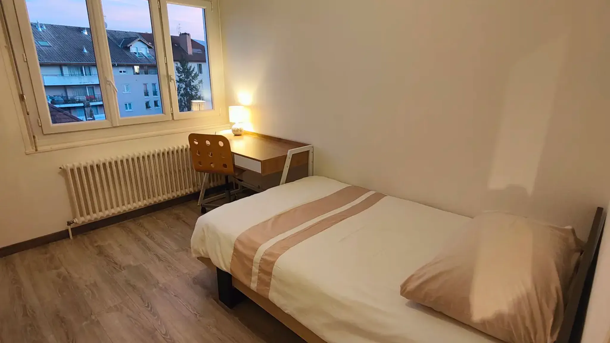 Rue du Docteur Coquand, Annemasse preview