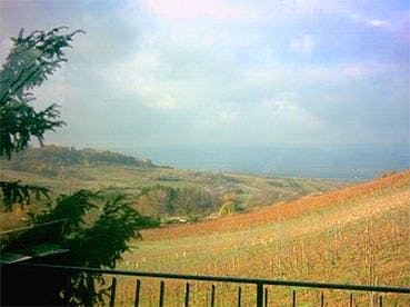 Apartment for rent for €2,000 per month in Ingelheim am Rhein, Bornstraße